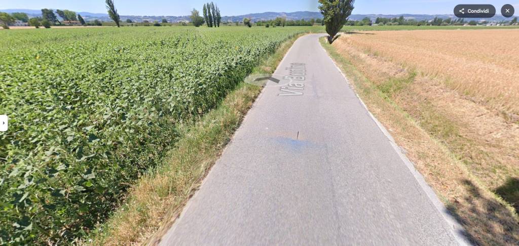 immagine annuncio 4 di 13