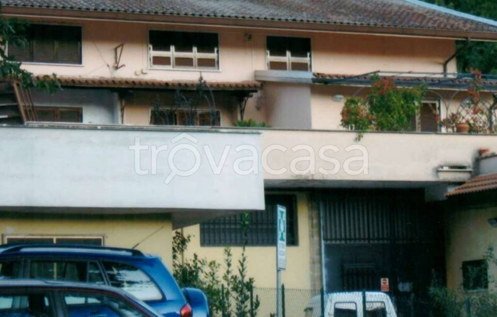 immagine annuncio 11 di 12