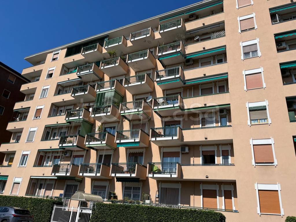 immagine annuncio 1 di 11