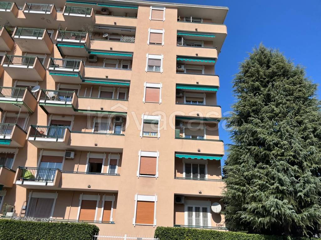 immagine annuncio 1 di 11