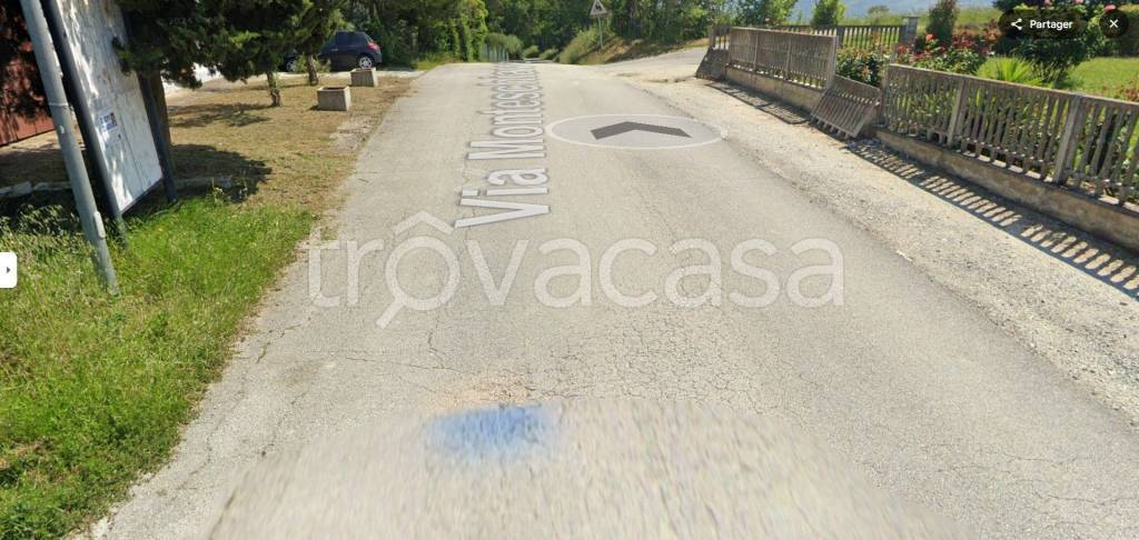 immagine annuncio 6 di 14