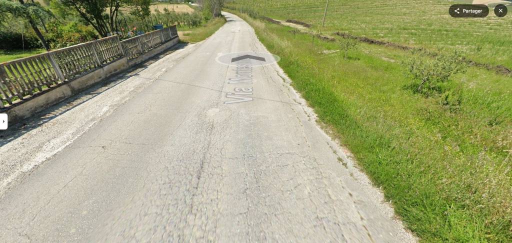 immagine annuncio 11 di 14