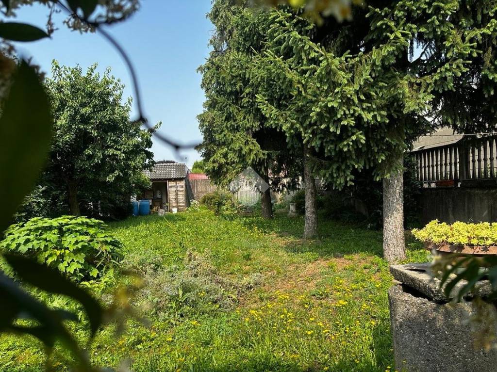 immagine annuncio 2 di 6