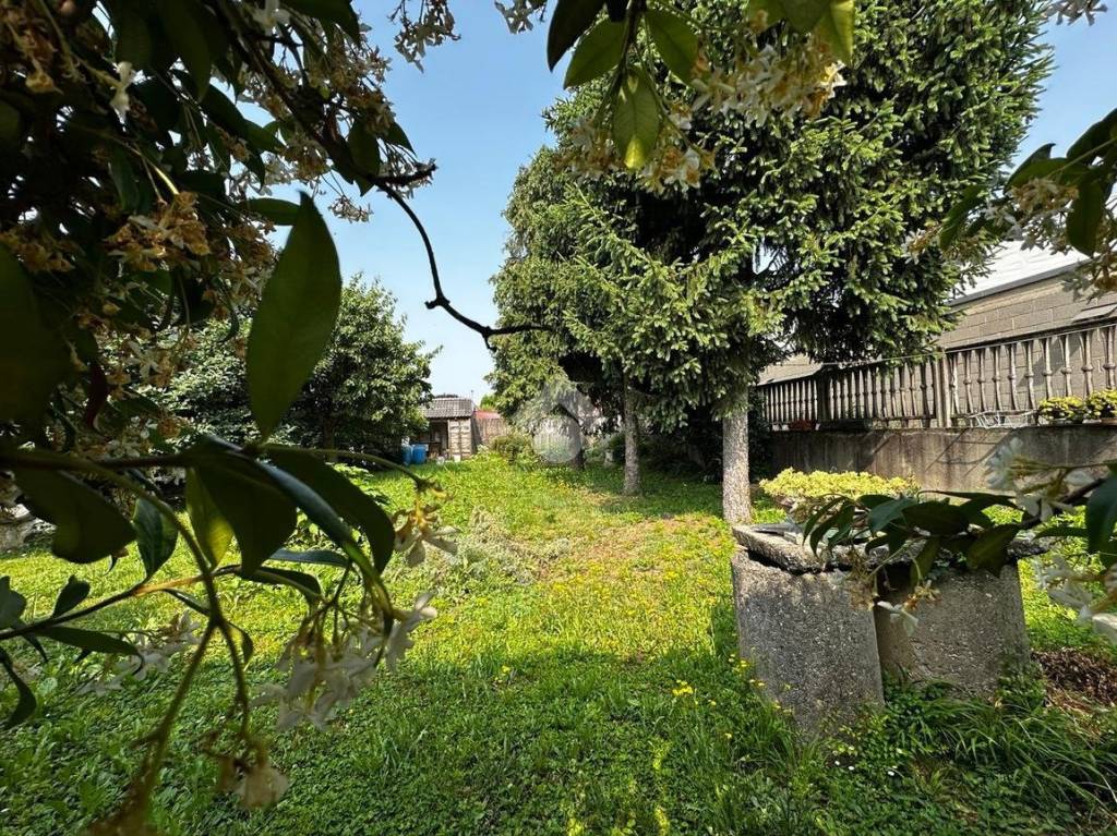 immagine annuncio 3 di 6