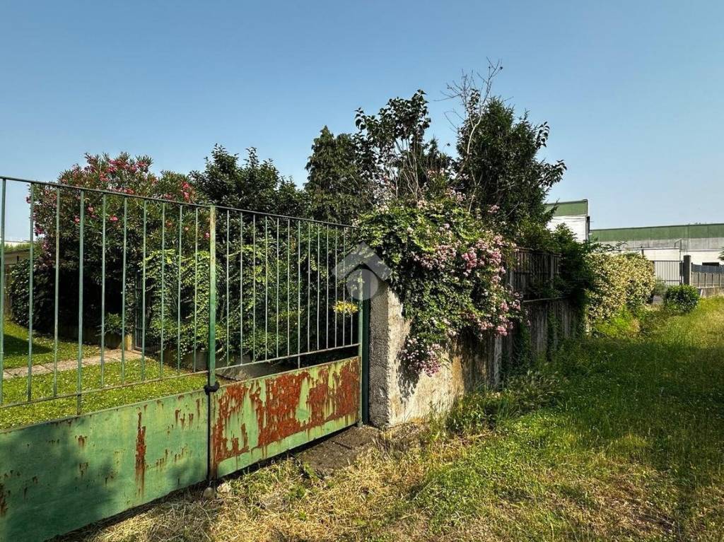 immagine annuncio 4 di 6