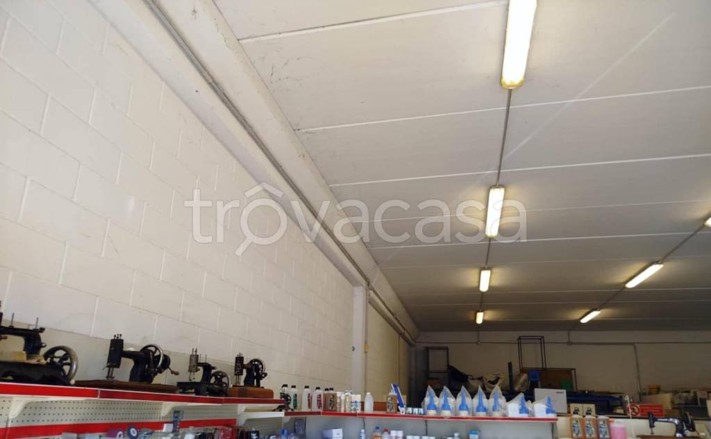 immagine annuncio 4 di 12