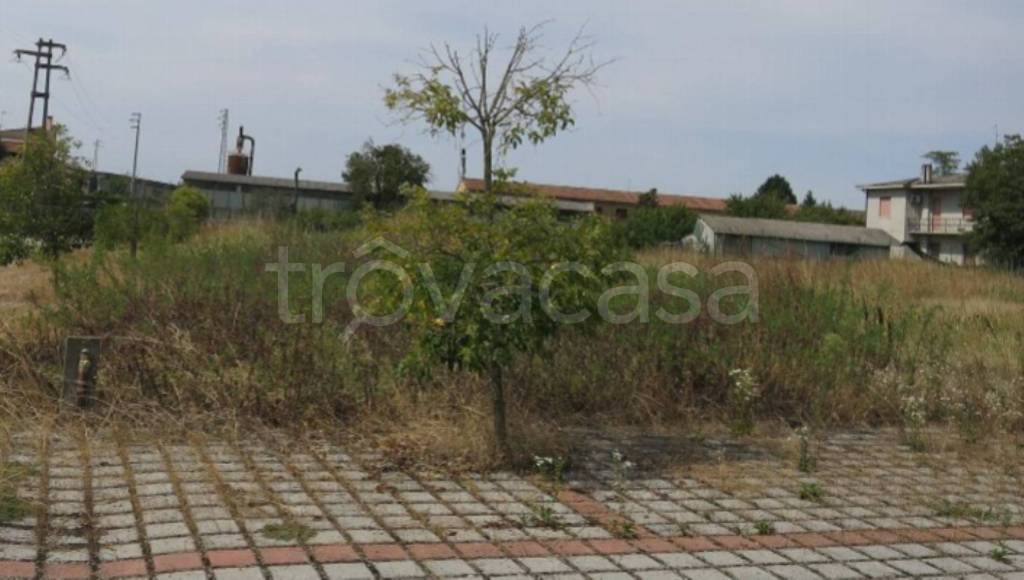 immagine annuncio 5 di 13