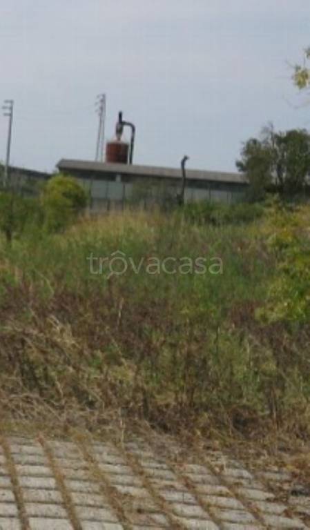 immagine annuncio 7 di 13