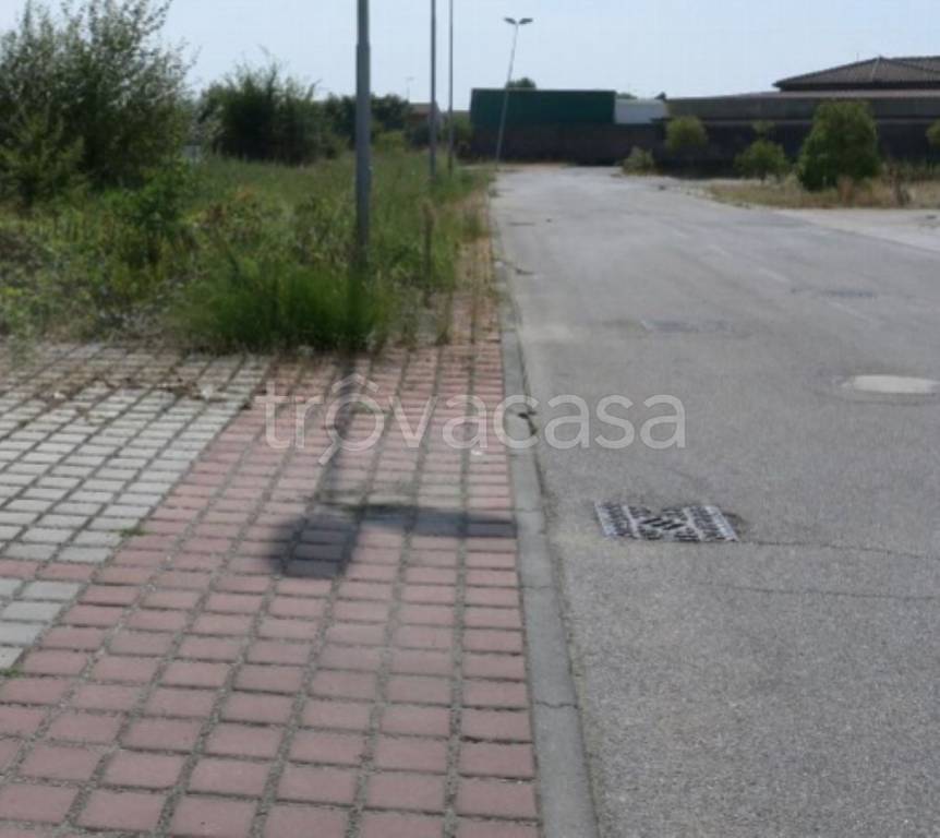 immagine annuncio 10 di 13