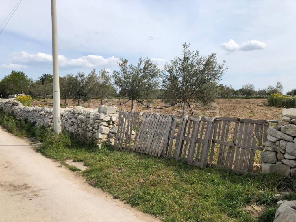 immagine annuncio 3 di 8