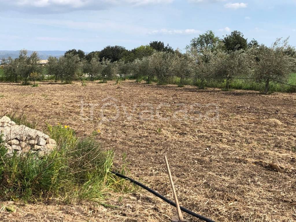 immagine annuncio 5 di 8