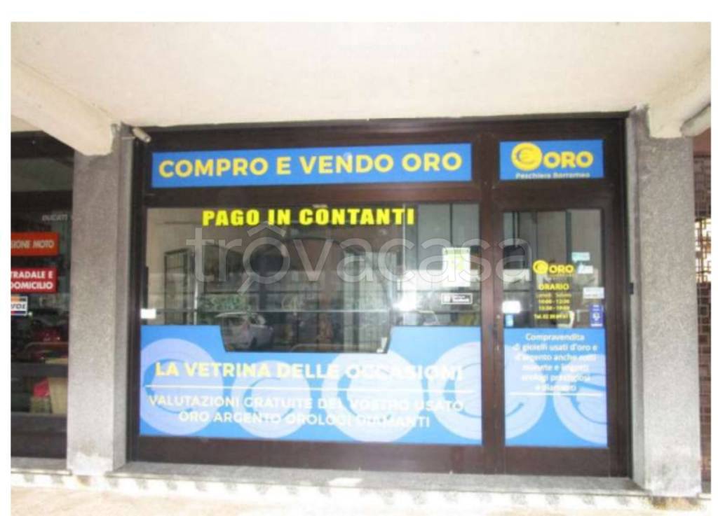 immagine annuncio 2 di 11