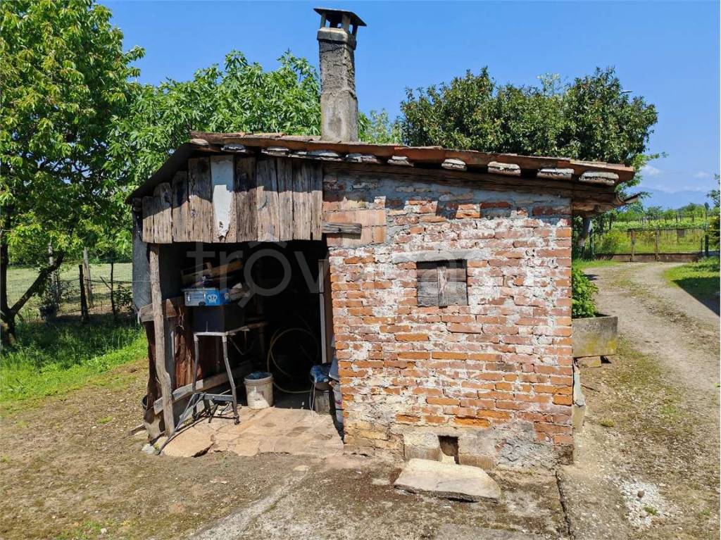 immagine annuncio 12 di 15