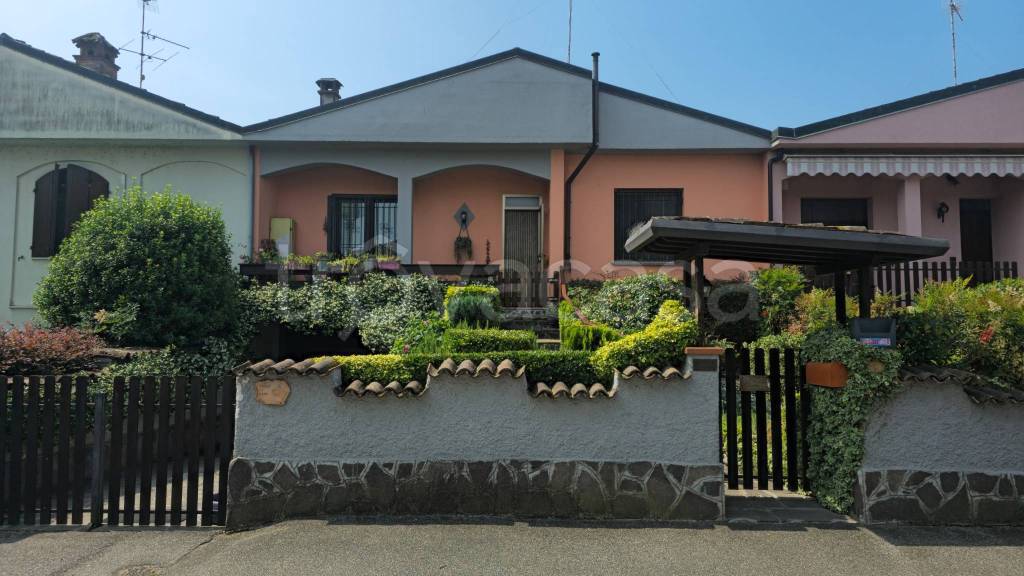 immagine annuncio 1 di 15