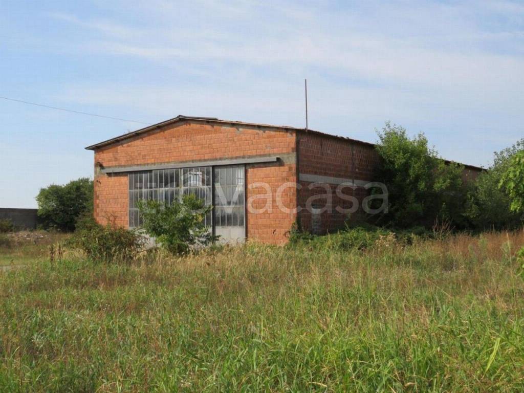 immagine annuncio 3 di 12