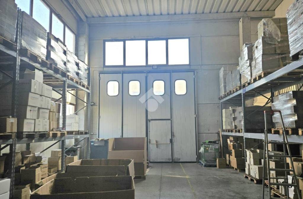 immagine annuncio 3 di 11