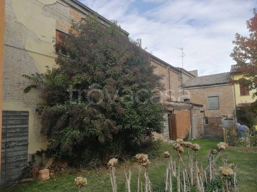 immagine annuncio 5 di 11