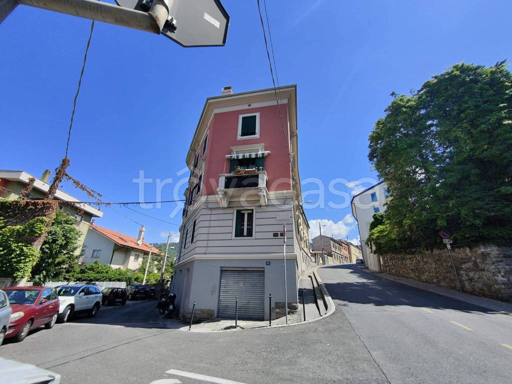 immagine annuncio 5 di 14