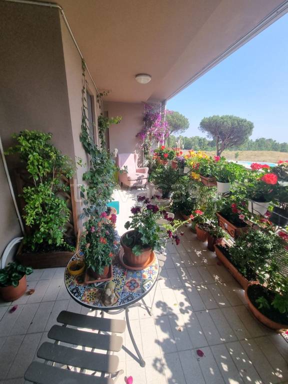 immagine annuncio 9 di 14