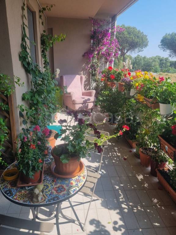 immagine annuncio 12 di 14