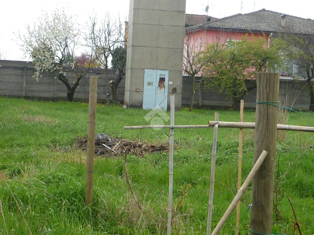 immagine annuncio 3 di 4