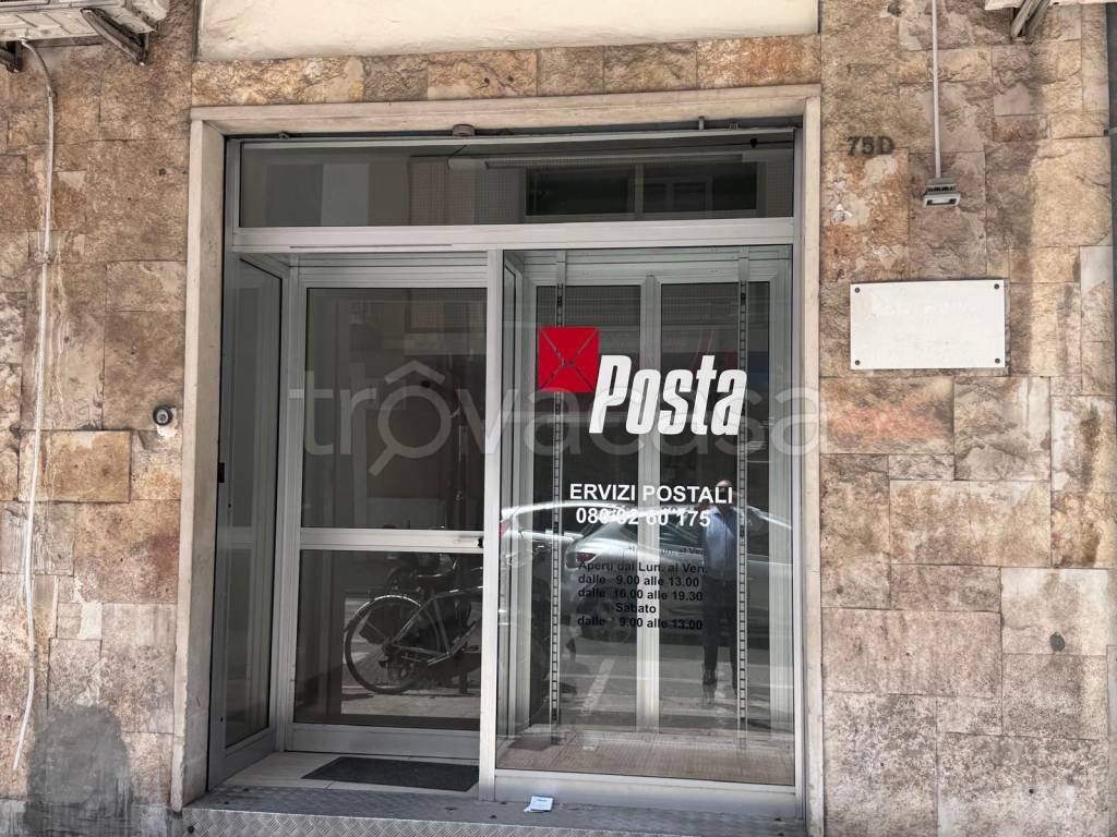 immagine annuncio 11 di 12