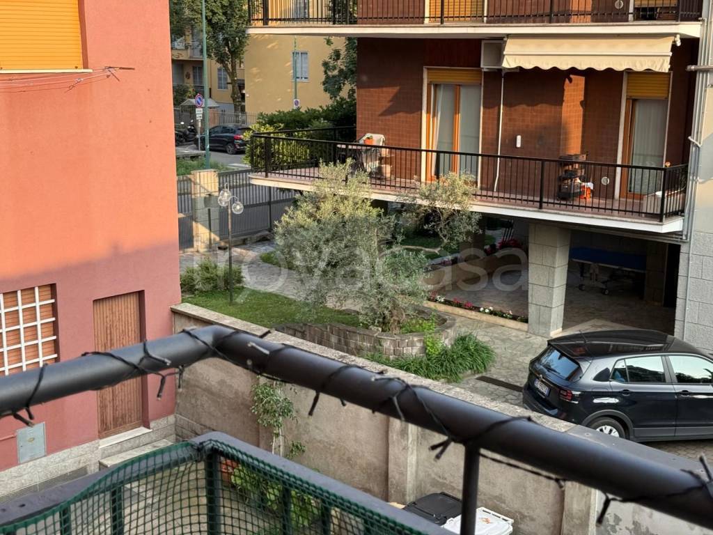 immagine annuncio 5 di 11