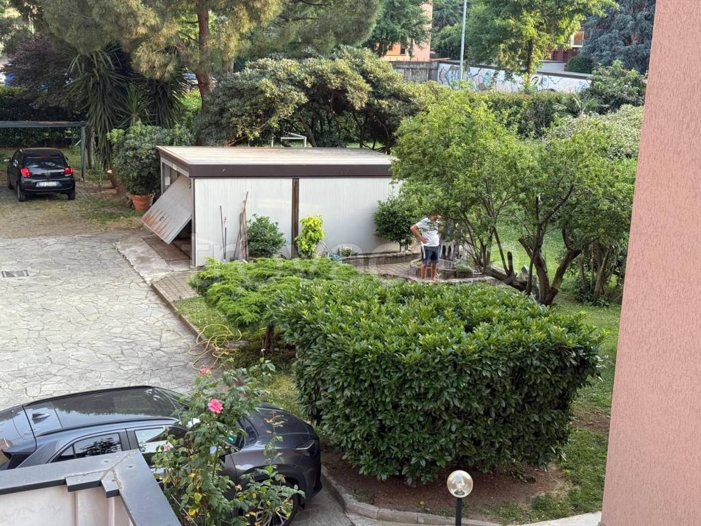 immagine annuncio 6 di 11