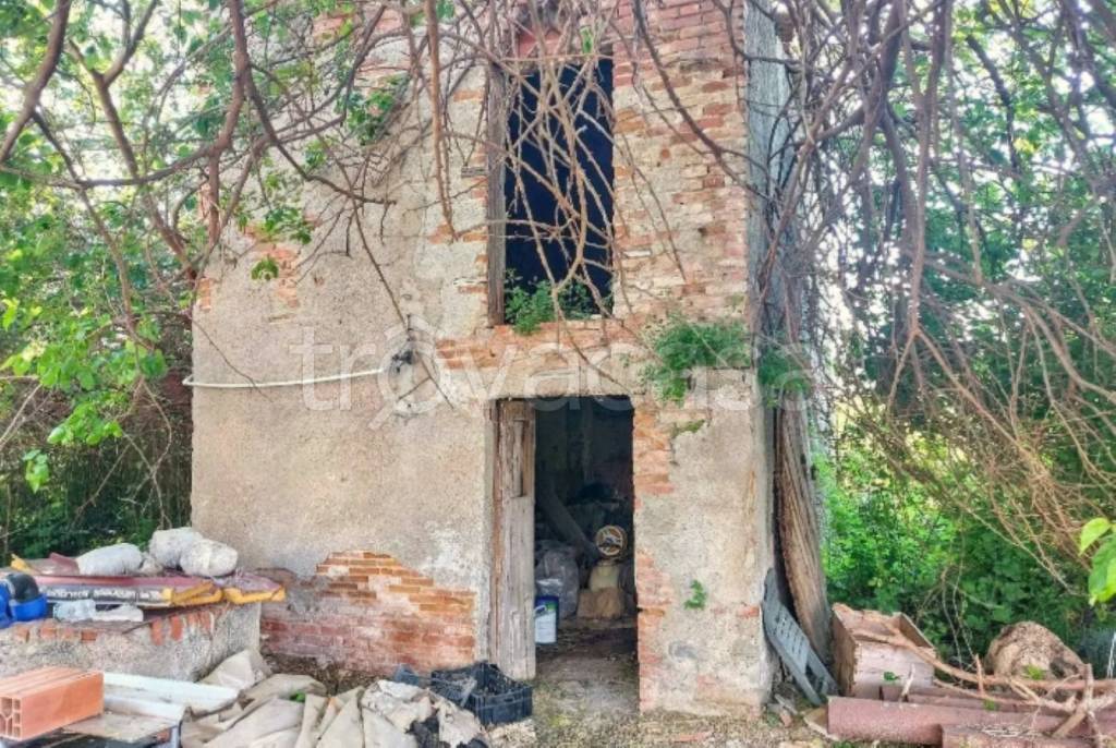 immagine annuncio 8 di 12