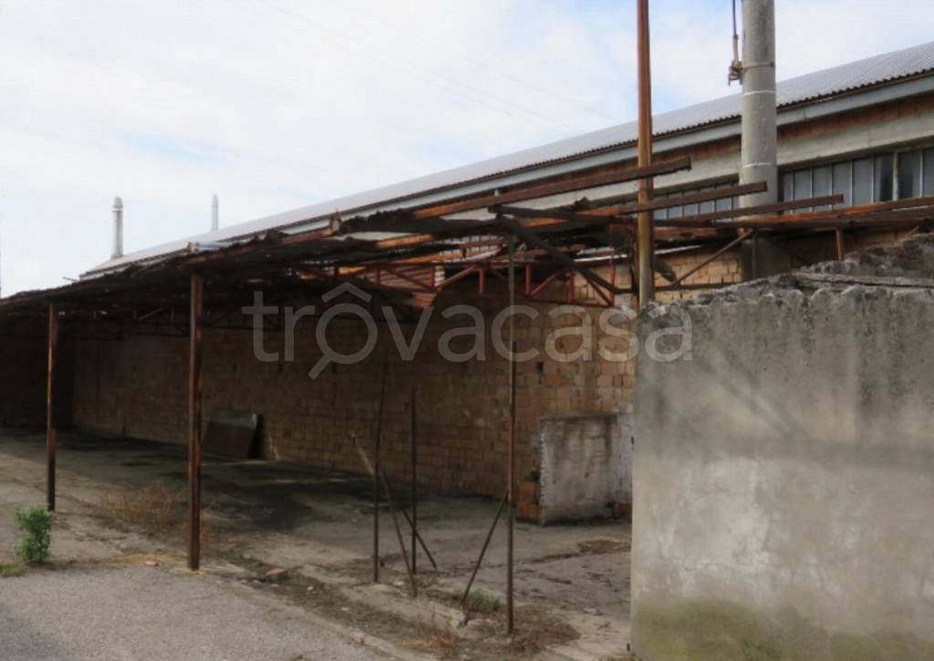 immagine annuncio 6 di 13