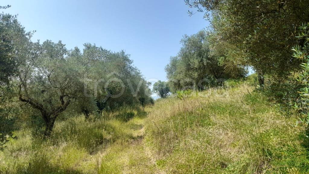 immagine annuncio 3 di 8