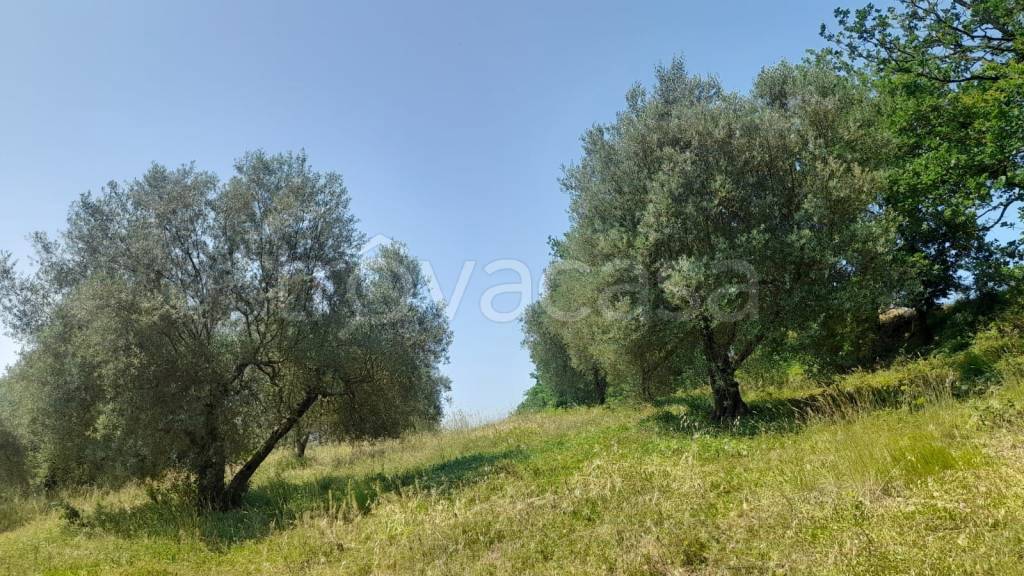 immagine annuncio 6 di 8