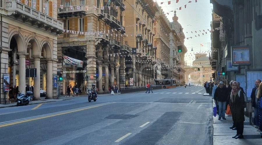 immagine annuncio 2 di 6