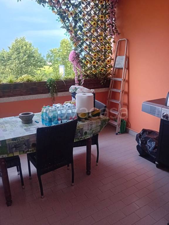 immagine annuncio 3 di 9