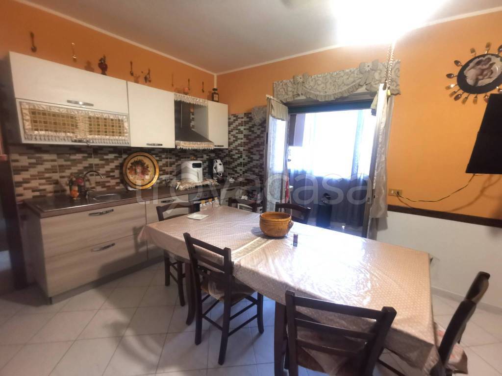 immagine annuncio 6 di 14