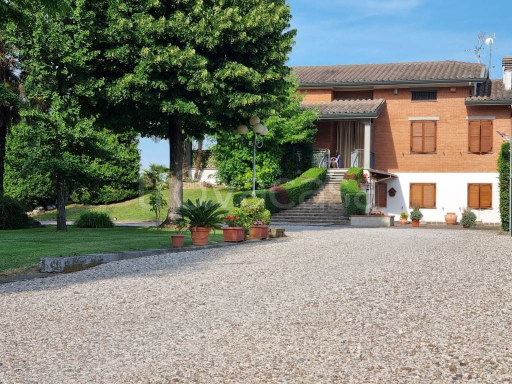 immagine annuncio 2 di 13