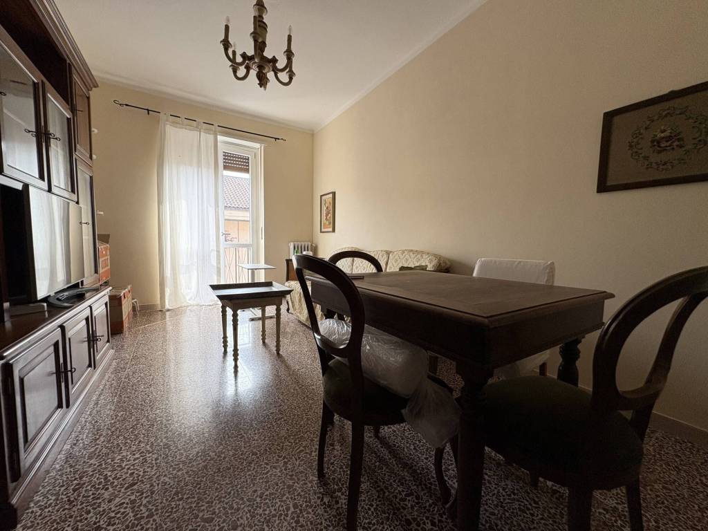 immagine annuncio 9 di 14