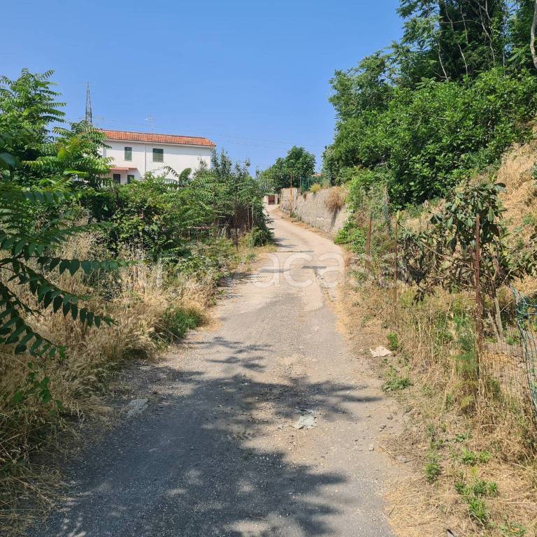 immagine annuncio 2 di 6