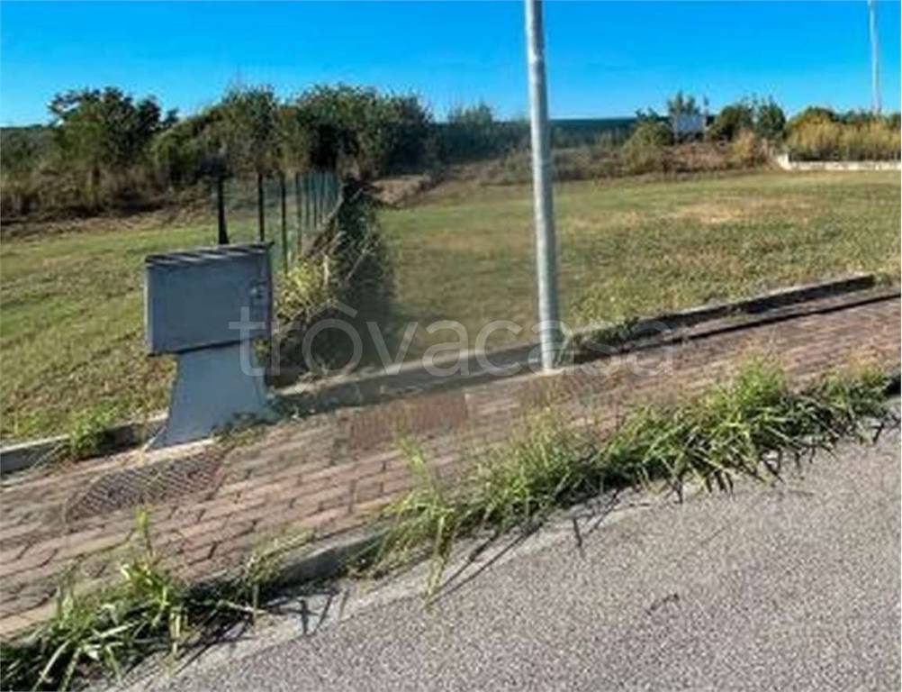 immagine annuncio 8 di 15
