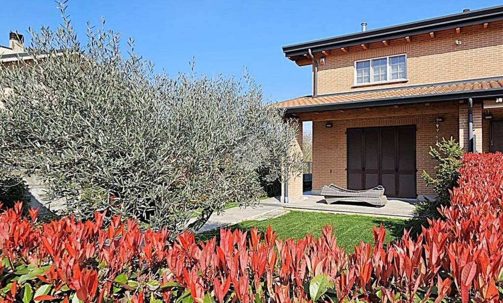 immagine annuncio 2 di 15