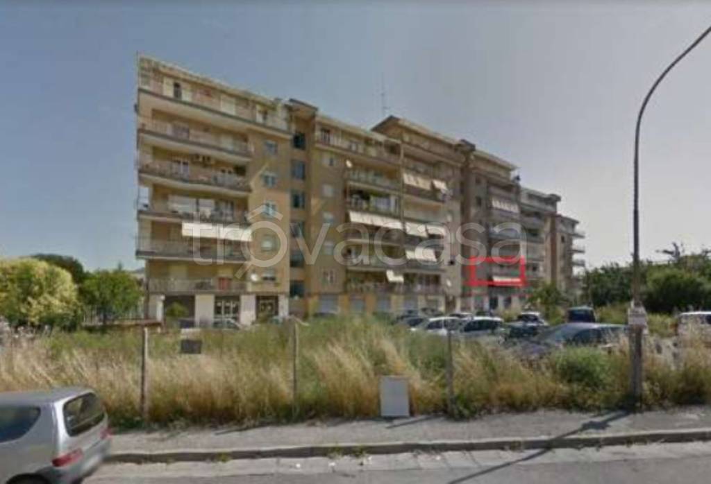 immagine annuncio 1 di 12