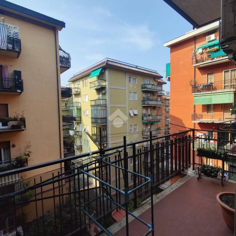 immagine annuncio 6 di 14