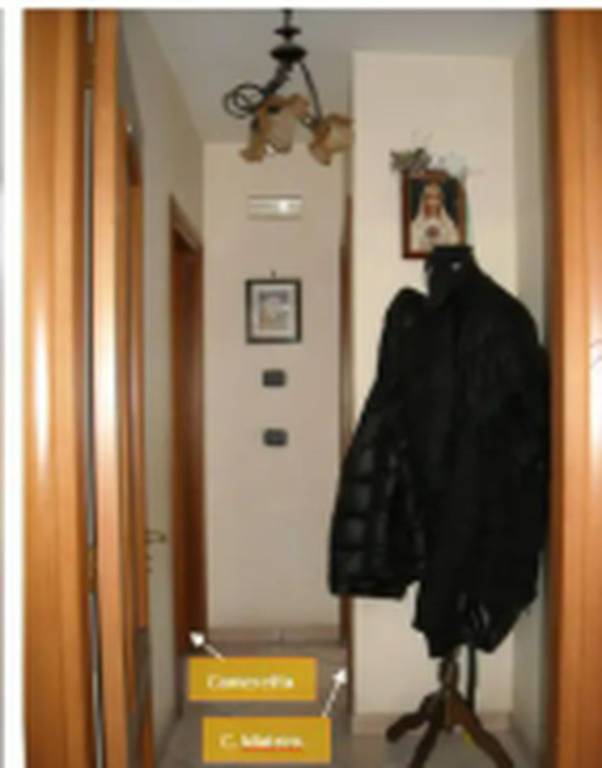 immagine annuncio 9 di 14