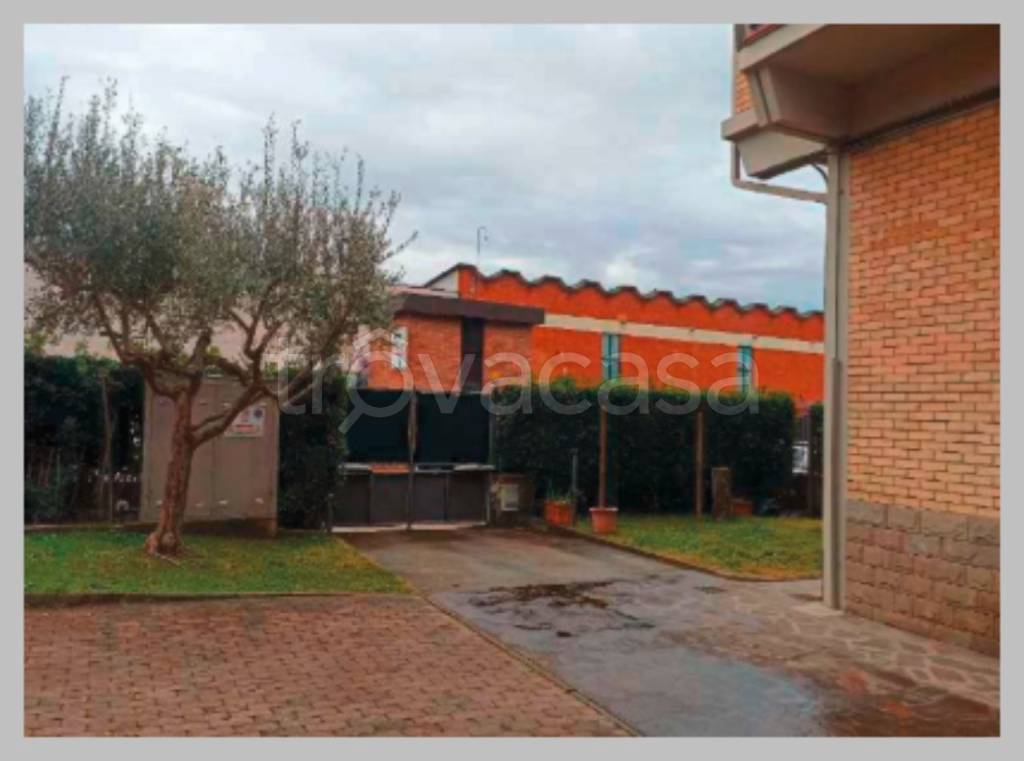 immagine annuncio 9 di 15