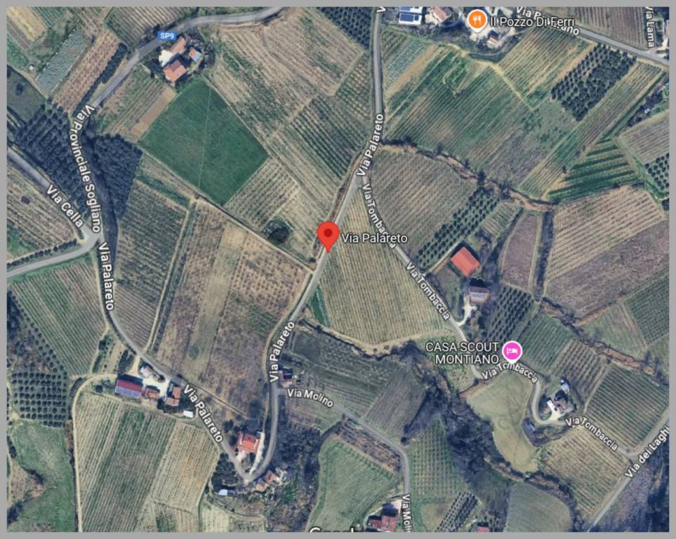 immagine annuncio 11 di 15