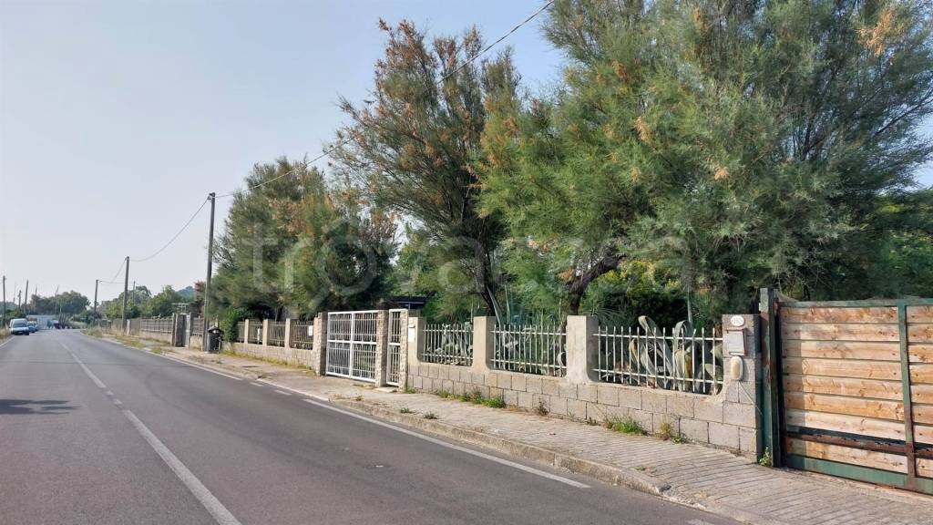 immagine annuncio 3 di 6