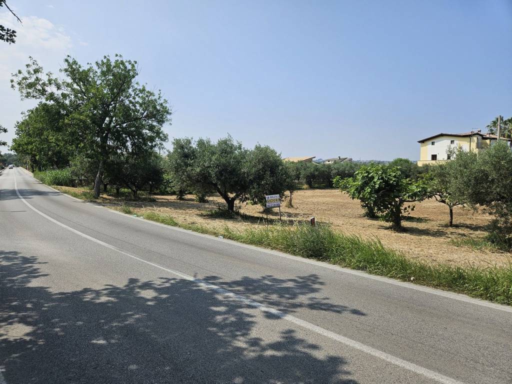 immagine annuncio 1 di 6
