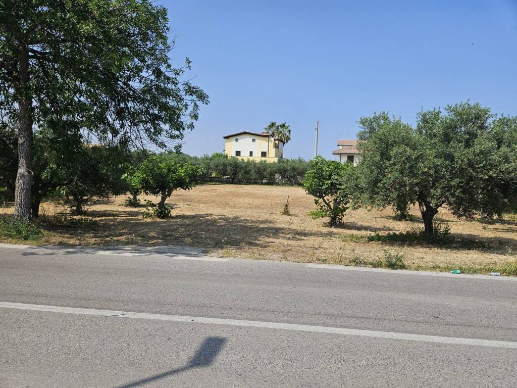immagine annuncio 2 di 6