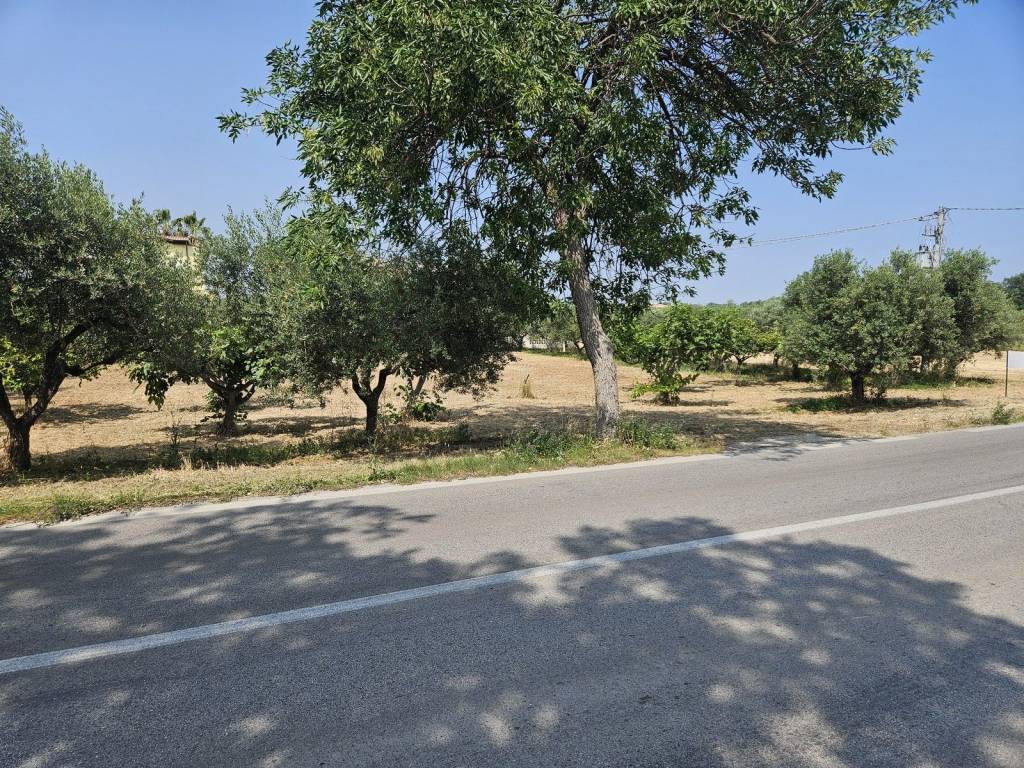 immagine annuncio 3 di 6