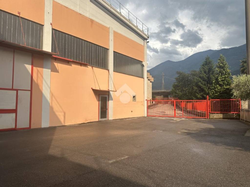 immagine annuncio 2 di 14